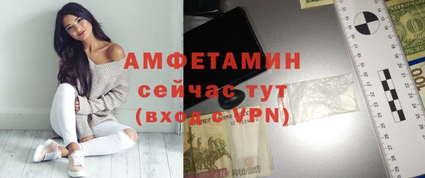 индика Богородск