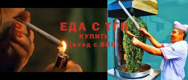 индика Богородск