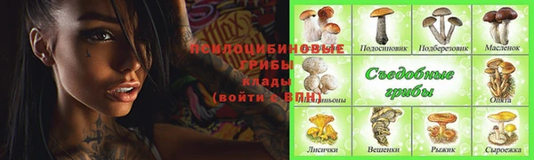 ECSTASY Богородицк