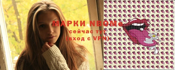 индика Богородск
