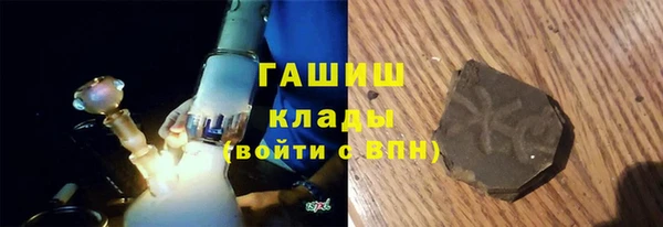 индика Богородск