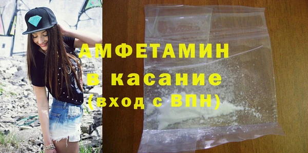 индика Богородск