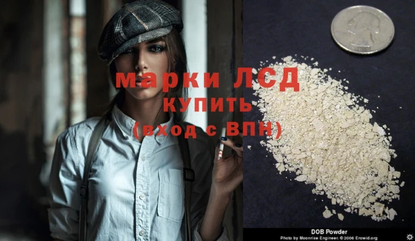 индика Богородск