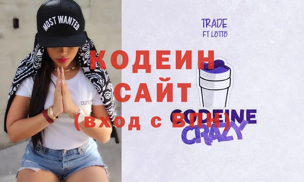 индика Богородск