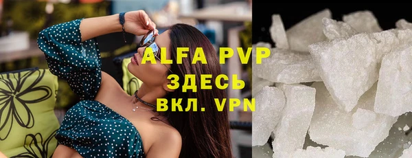 ECSTASY Богородицк