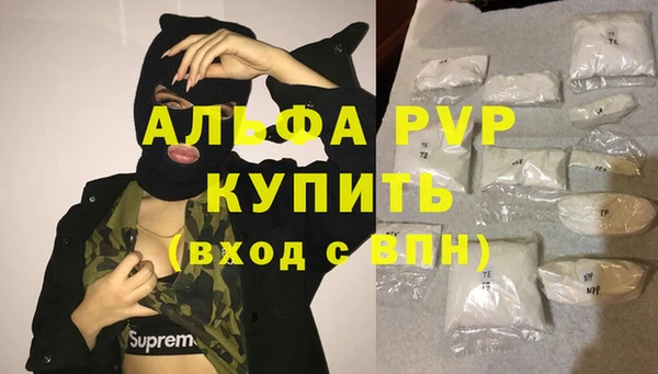 ECSTASY Богородицк