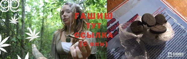 индика Богородск