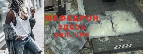 индика Богородск